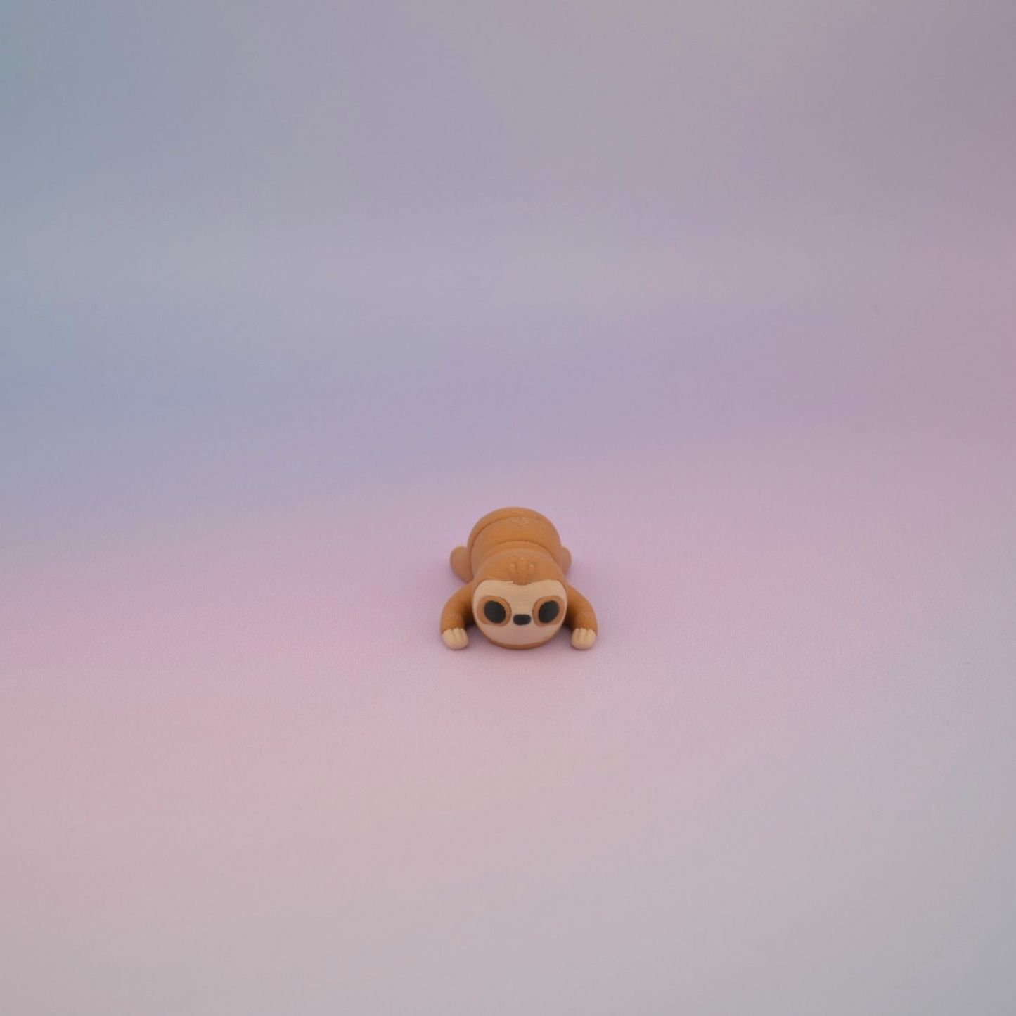 Teeny Tiny Sloth