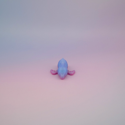 Teeny Tiny Skeleton Pterodactyl