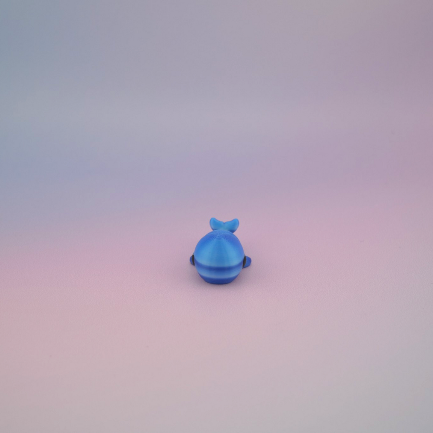 Teeny Tiny Whale