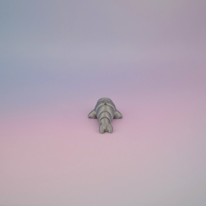 Teeny Tiny Dolphin
