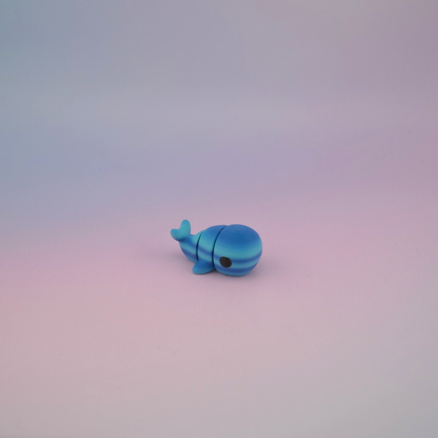 Teeny Tiny Whale