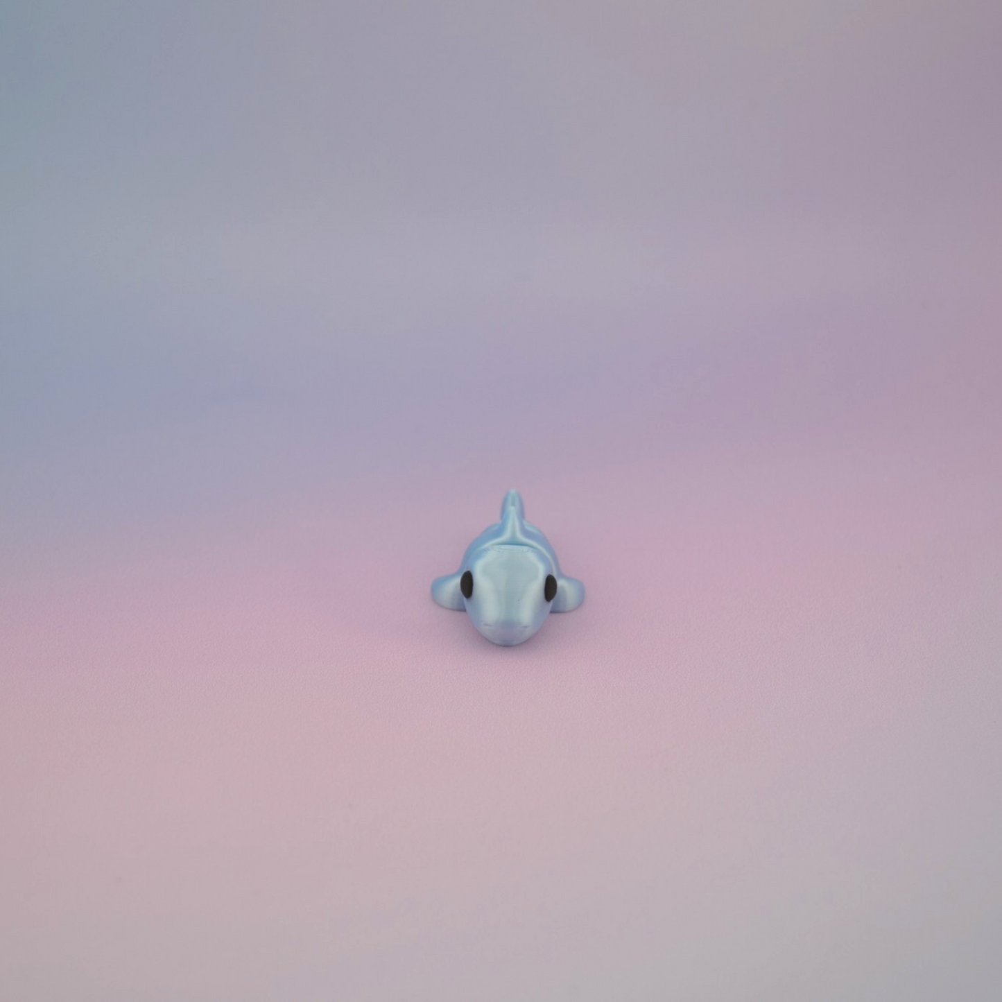 Teeny Tiny Shark