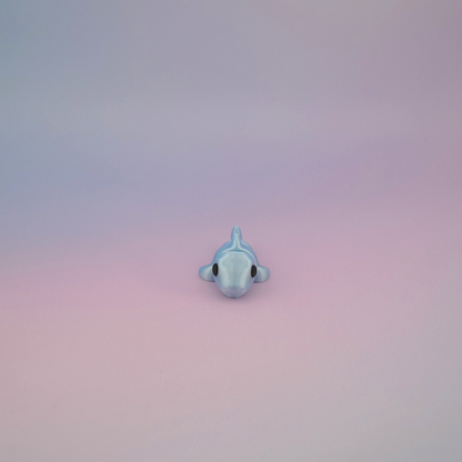 Teeny Tiny Shark