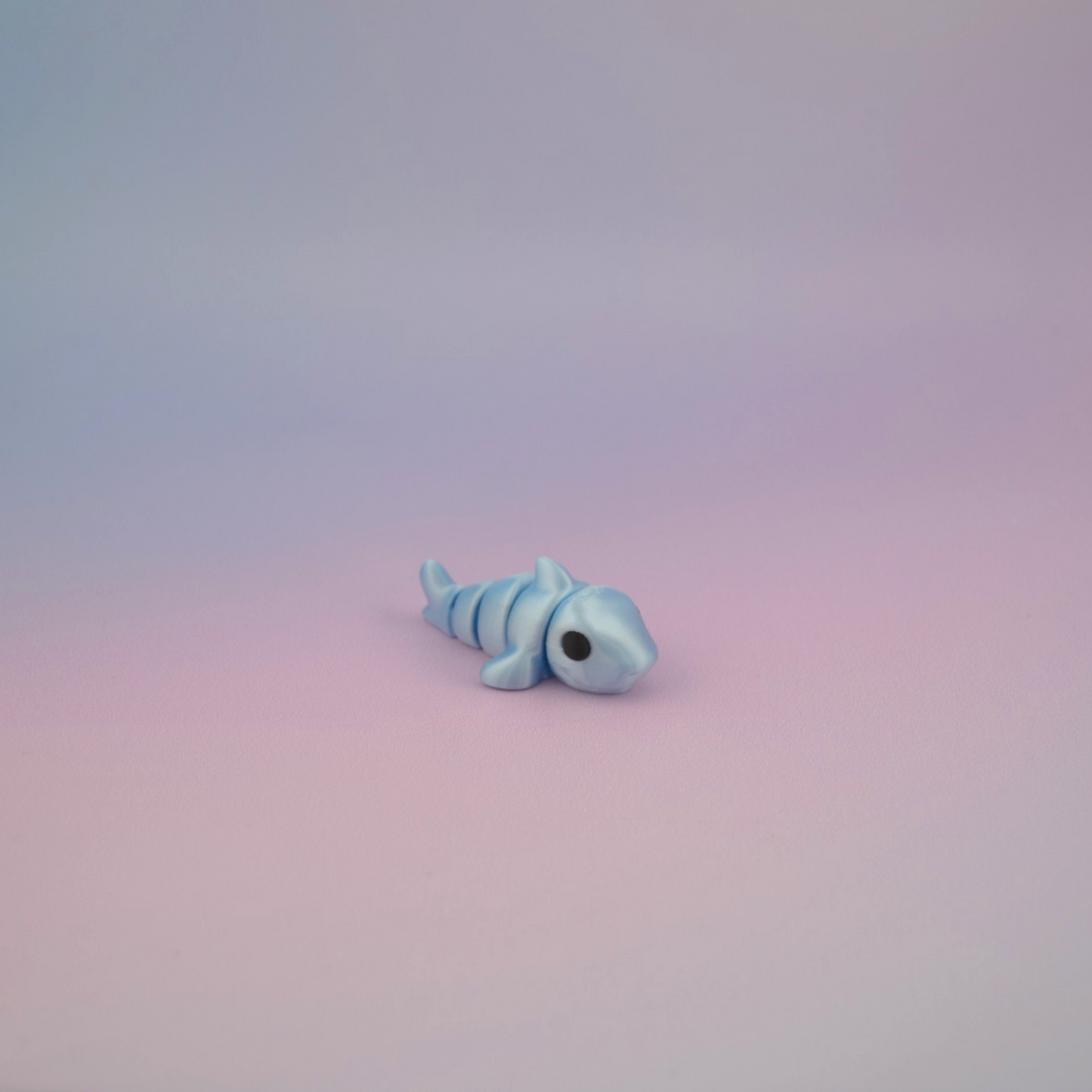 Teeny Tiny Shark
