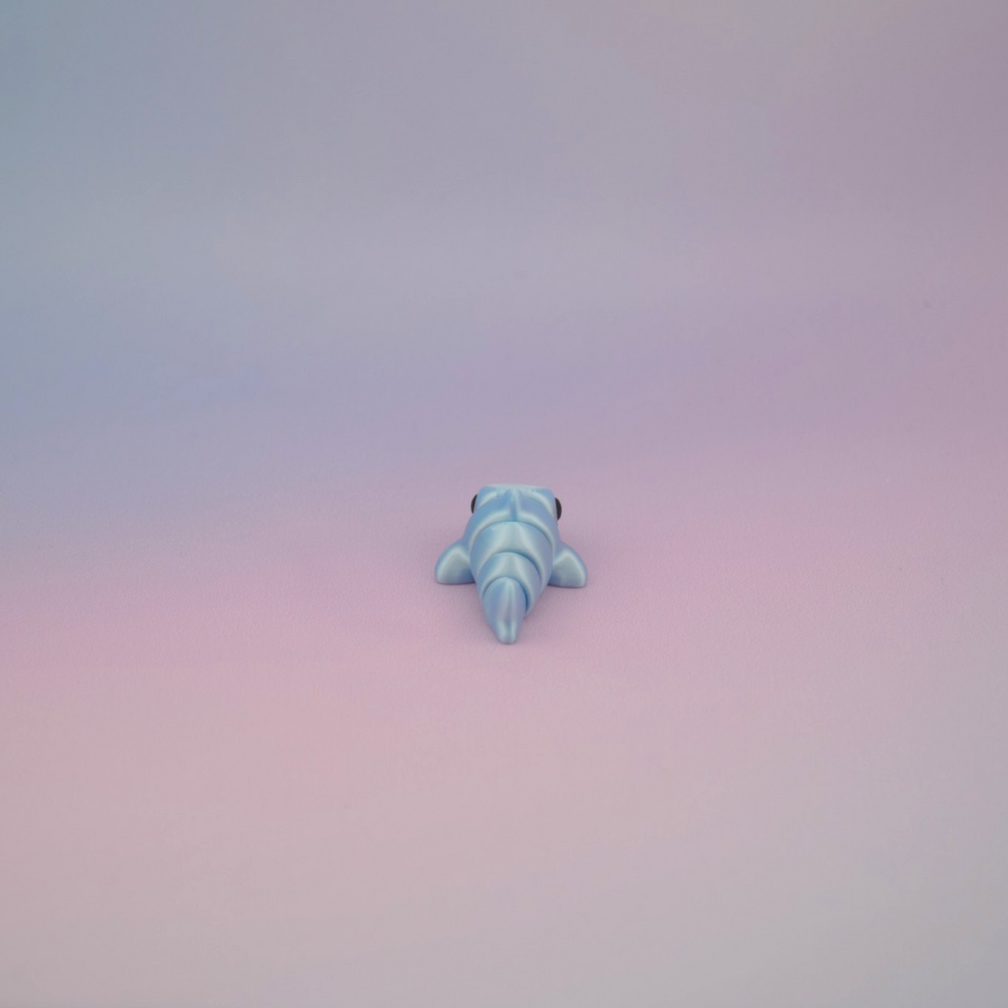 Teeny Tiny Shark