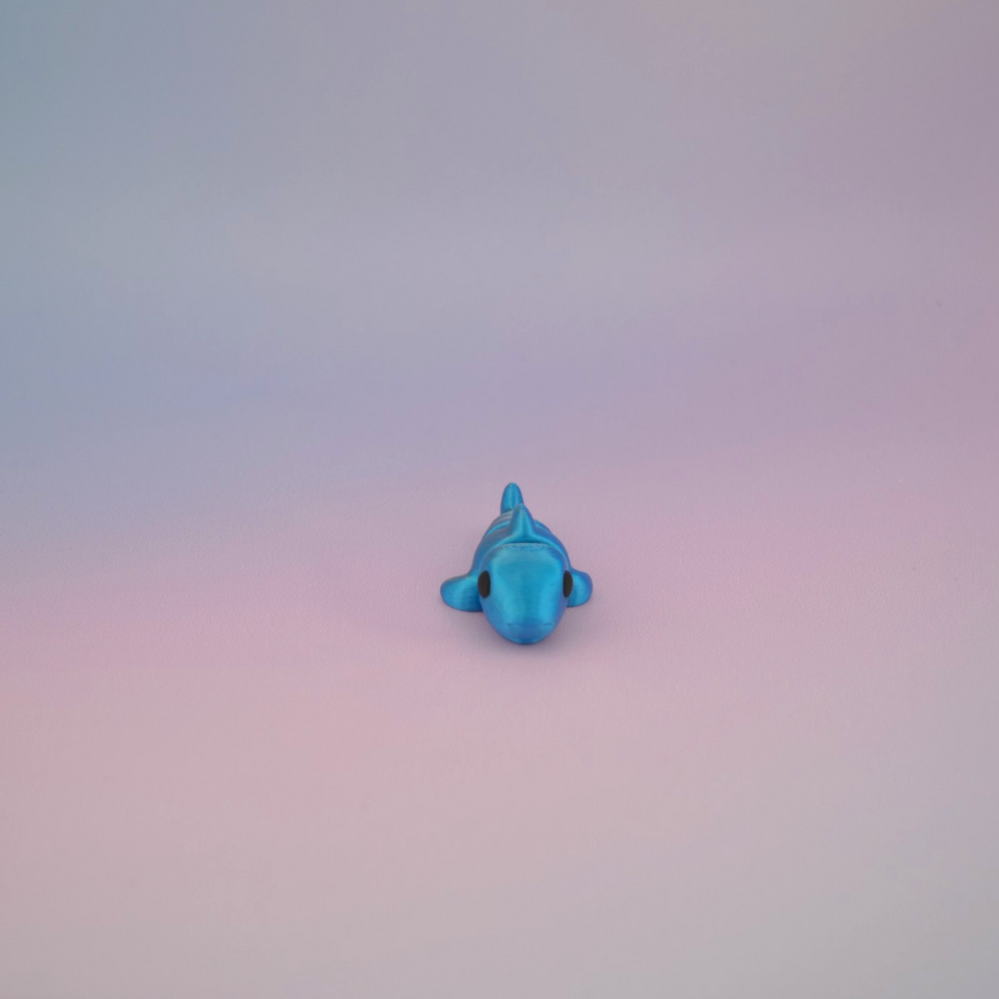 Teeny Tiny Shark