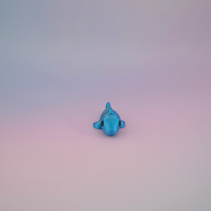 Teeny Tiny Shark