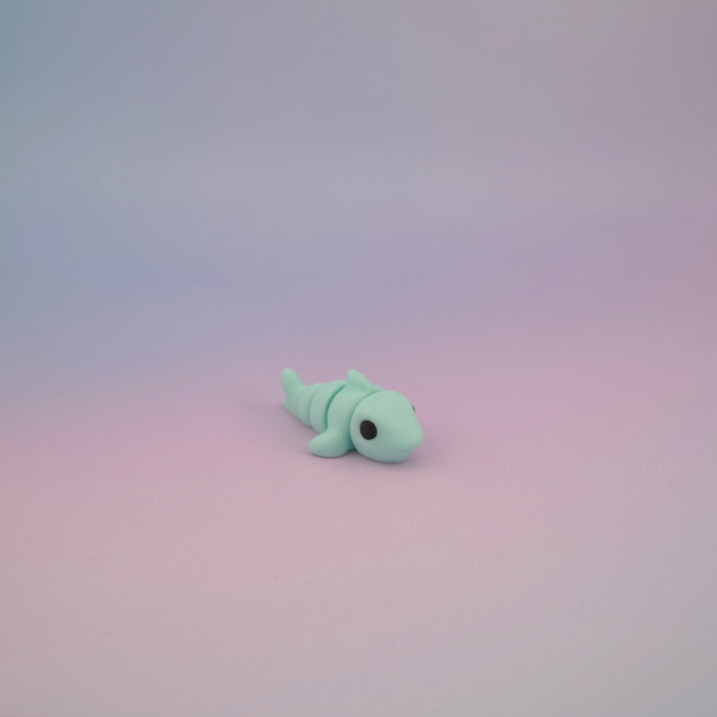 Teeny Tiny Shark