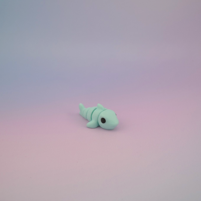 Teeny Tiny Shark