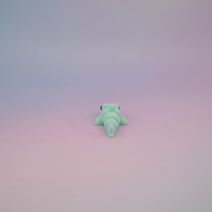 Teeny Tiny Shark