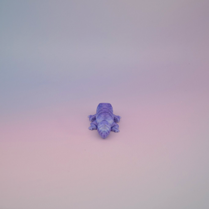 Teeny Tiny Leopard Gecko
