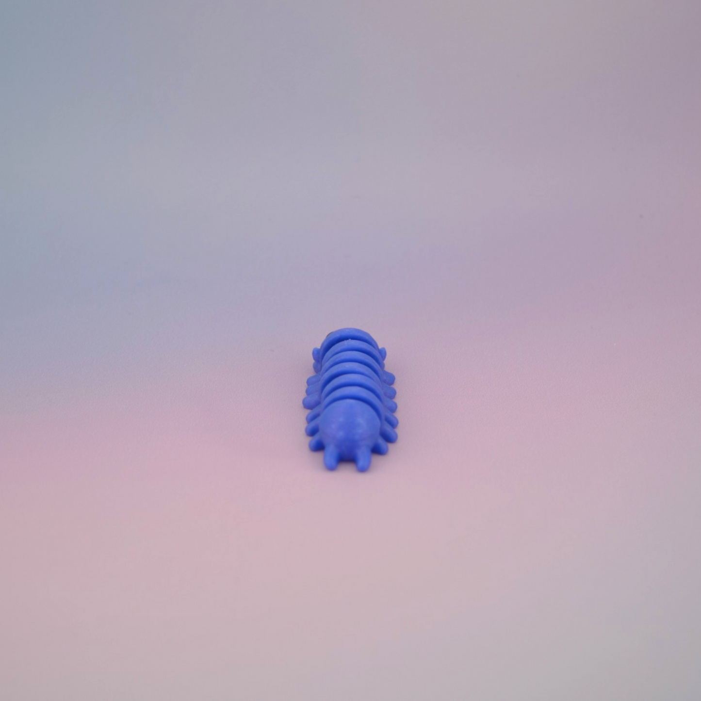 Teeny Tiny Centipede