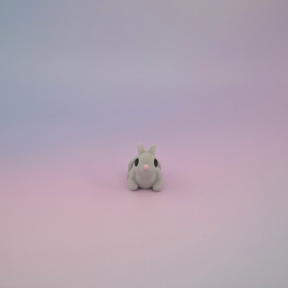 Teeny Tiny Bunny