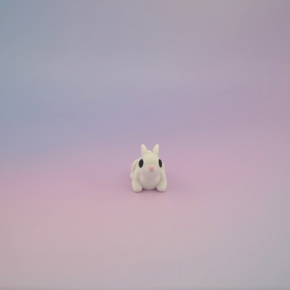 Teeny Tiny Bunny