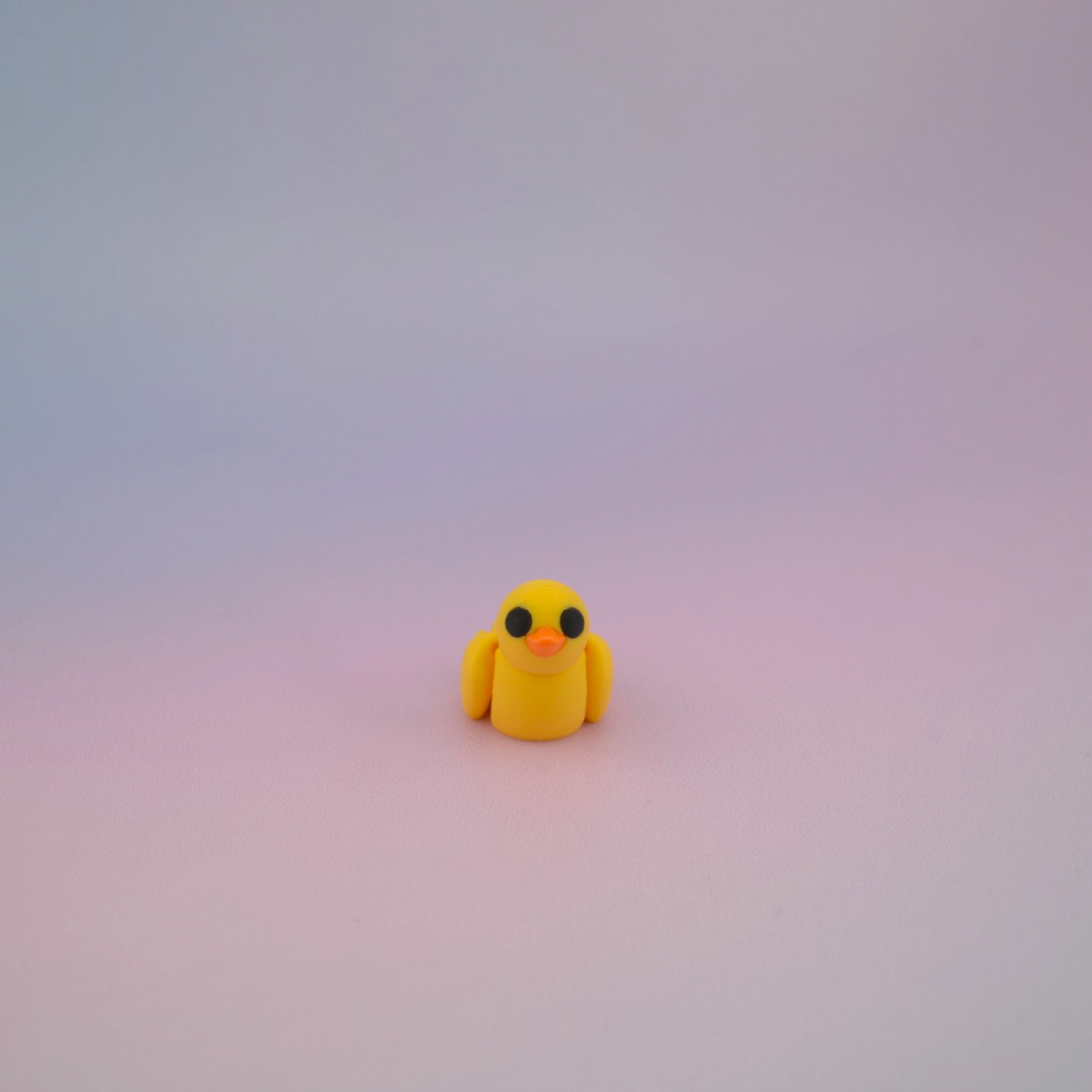 Teeny Tiny Duck
