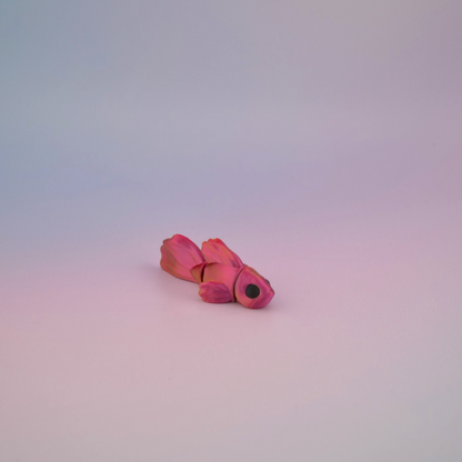 Teeny Tiny Betta Fish