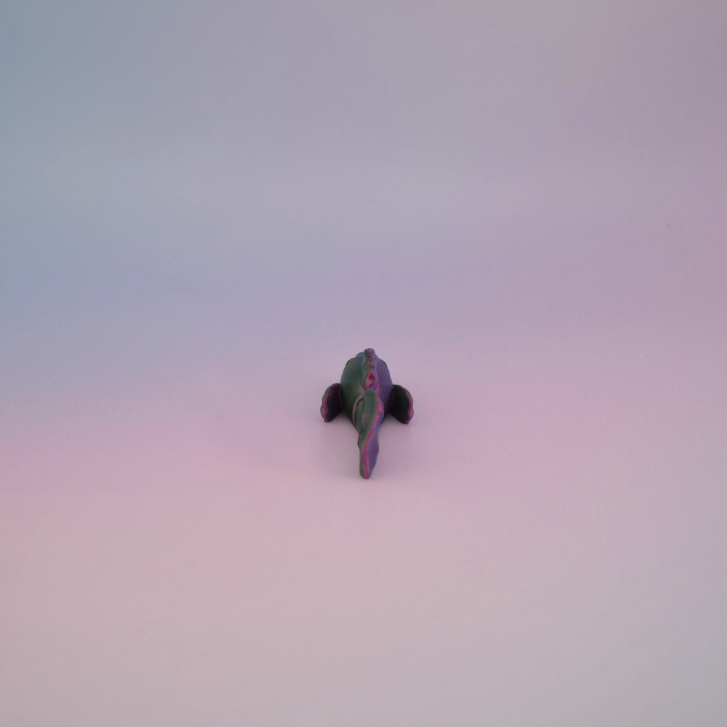 Teeny Tiny Betta Fish