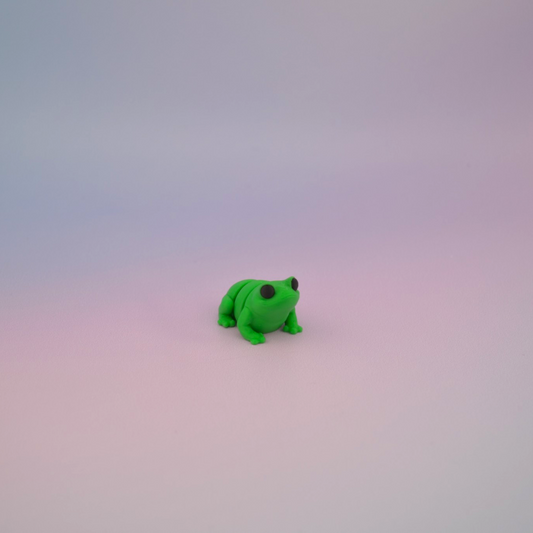 Teeny Tiny Frog