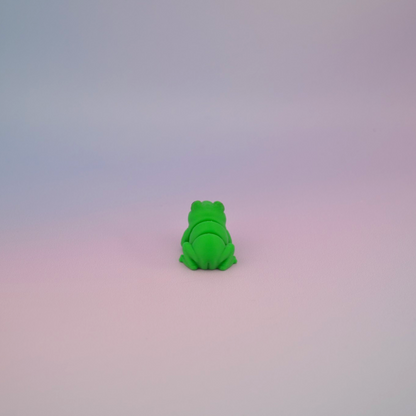 Teeny Tiny Frog