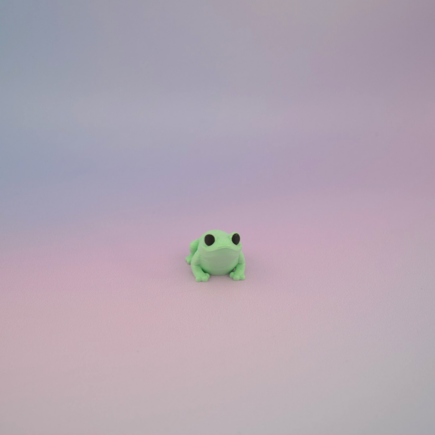 Teeny Tiny Frog