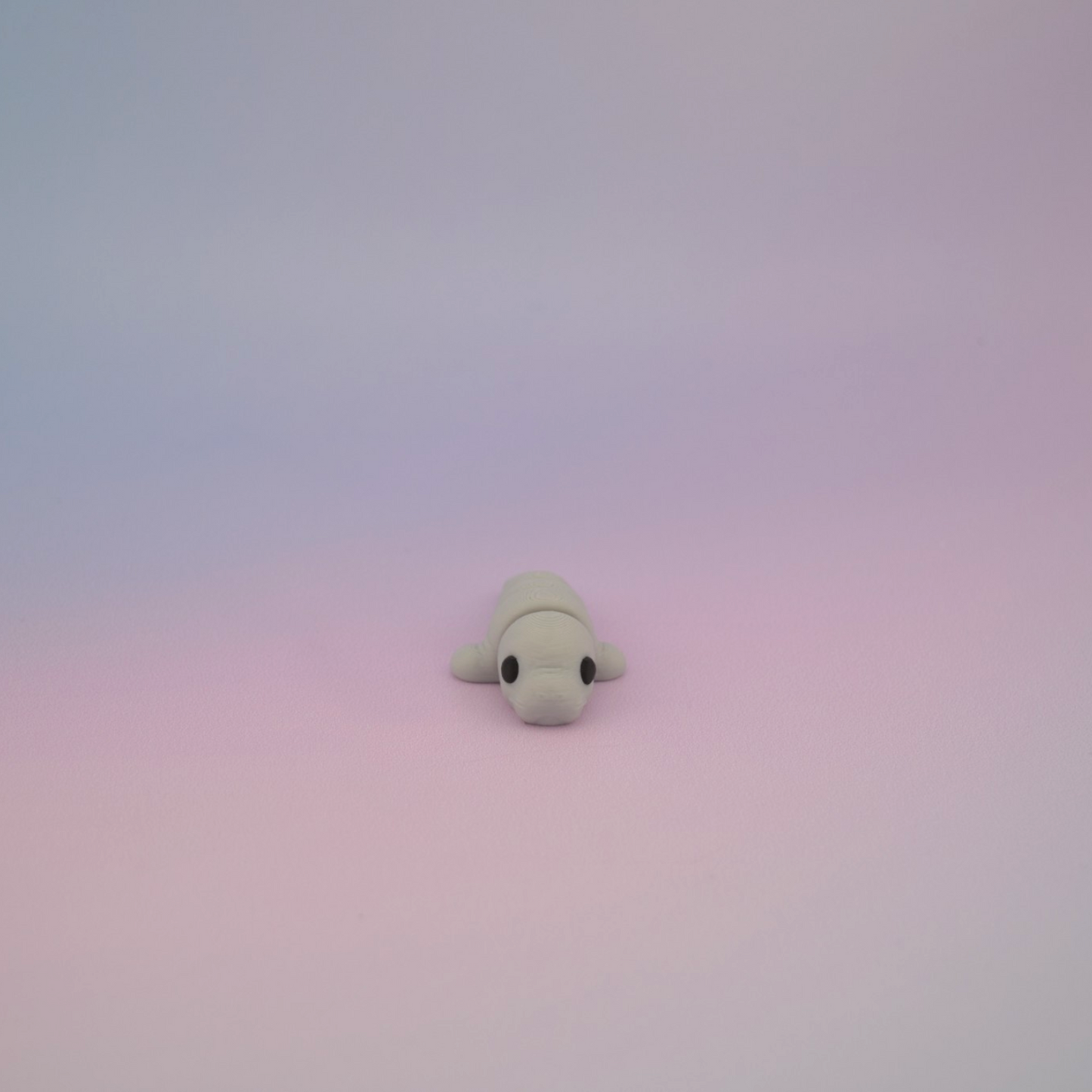 Teeny Tiny Manatee