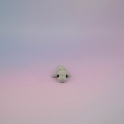 Teeny Tiny Manatee