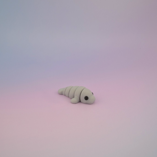 Teeny Tiny Manatee