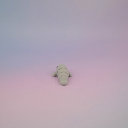 Teeny Tiny Manatee