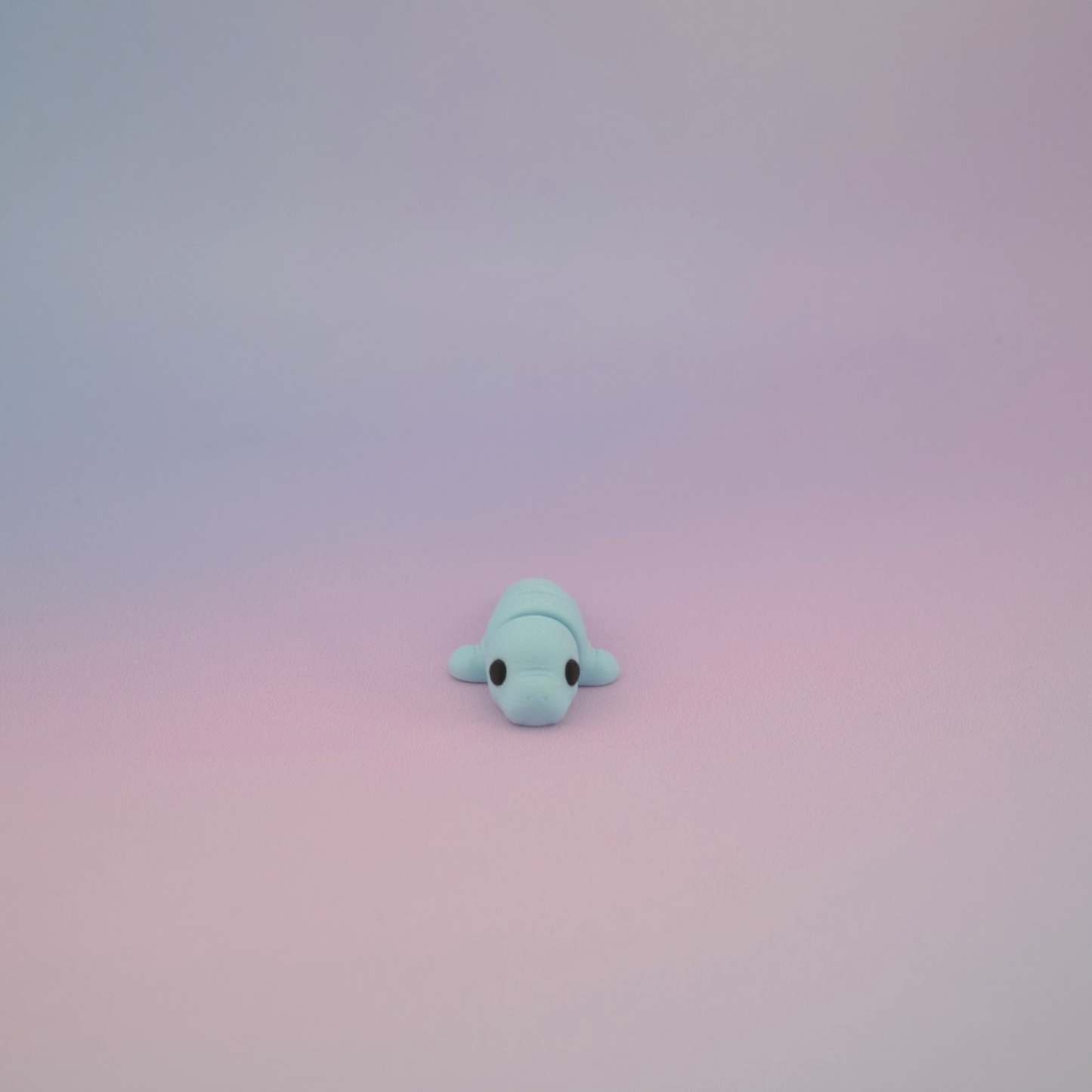 Teeny Tiny Manatee