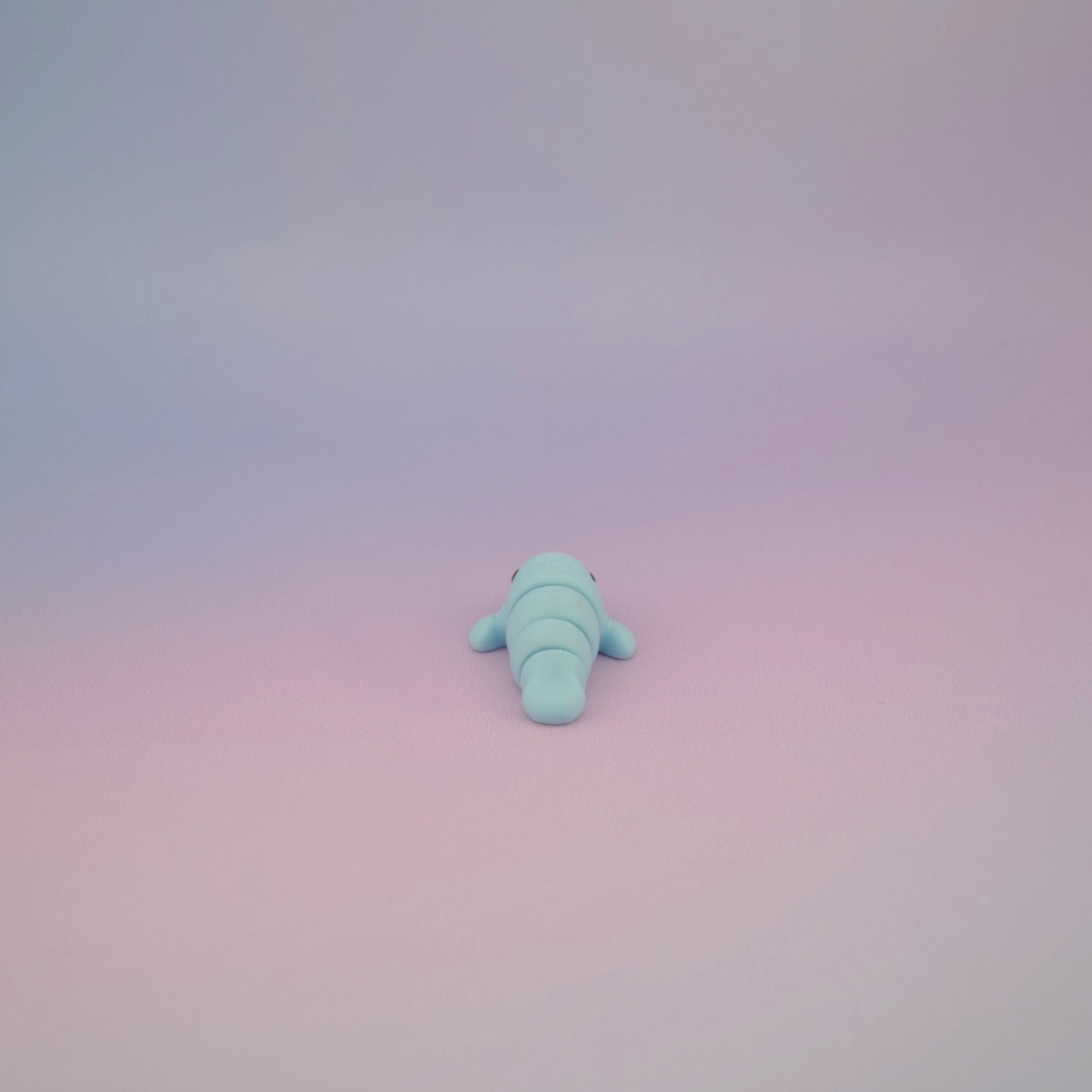 Teeny Tiny Manatee