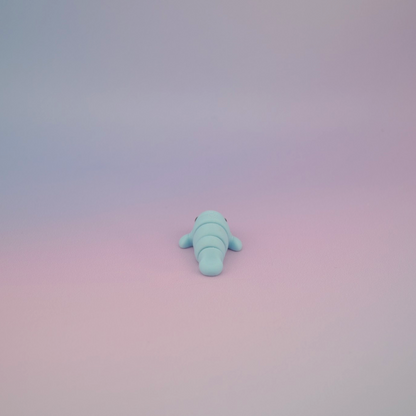 Teeny Tiny Manatee