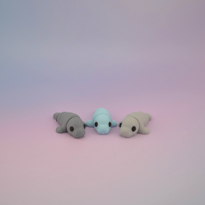 Teeny Tiny Manatee