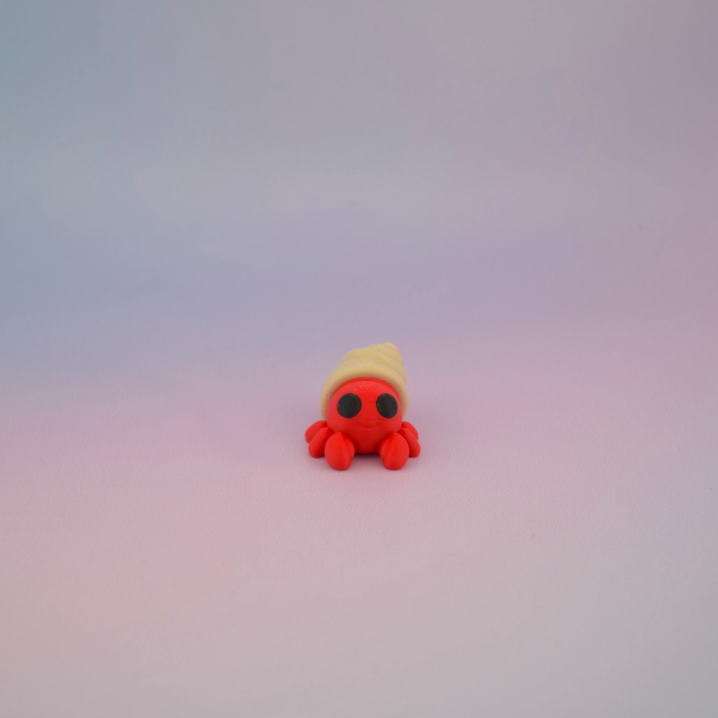 Teeny Tiny Hermit Crab