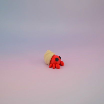 Teeny Tiny Hermit Crab