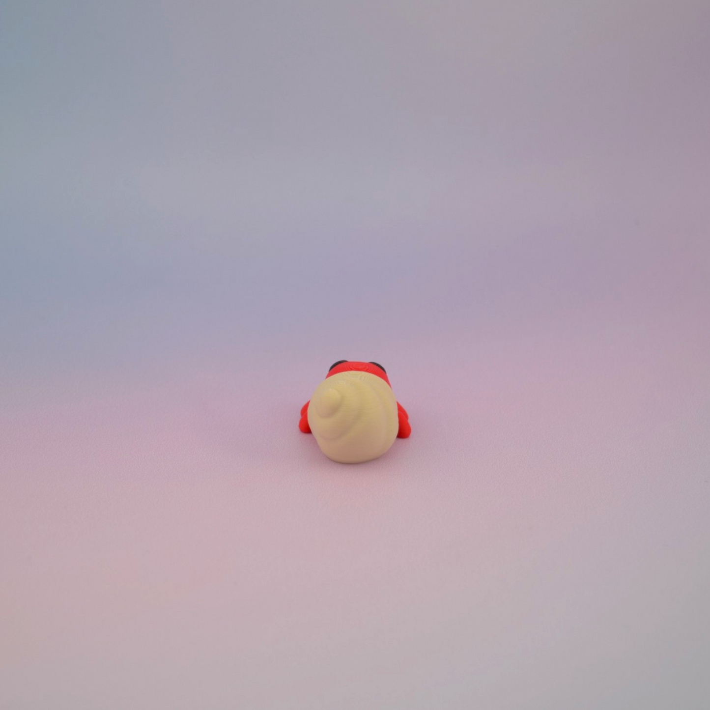 Teeny Tiny Hermit Crab