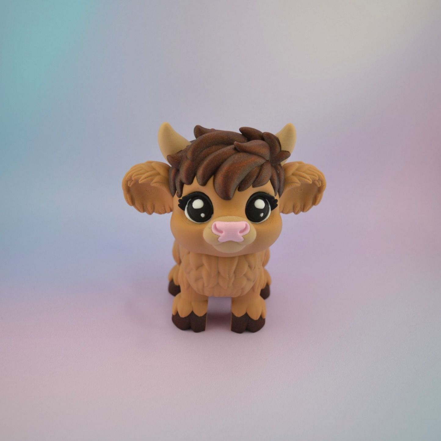 Highland Cow