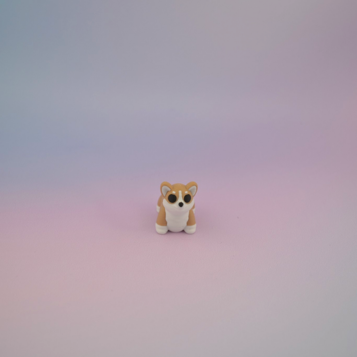 Teeny Tiny Corgi