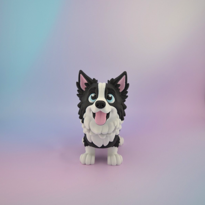 Border Collie