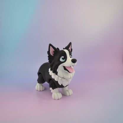 Border Collie