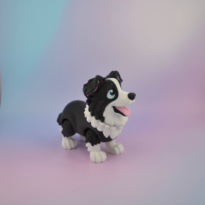 Border Collie