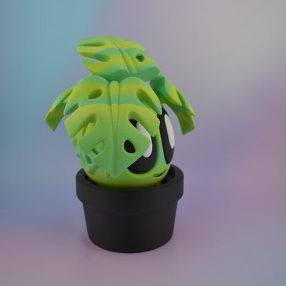 Giant Monstera Plant