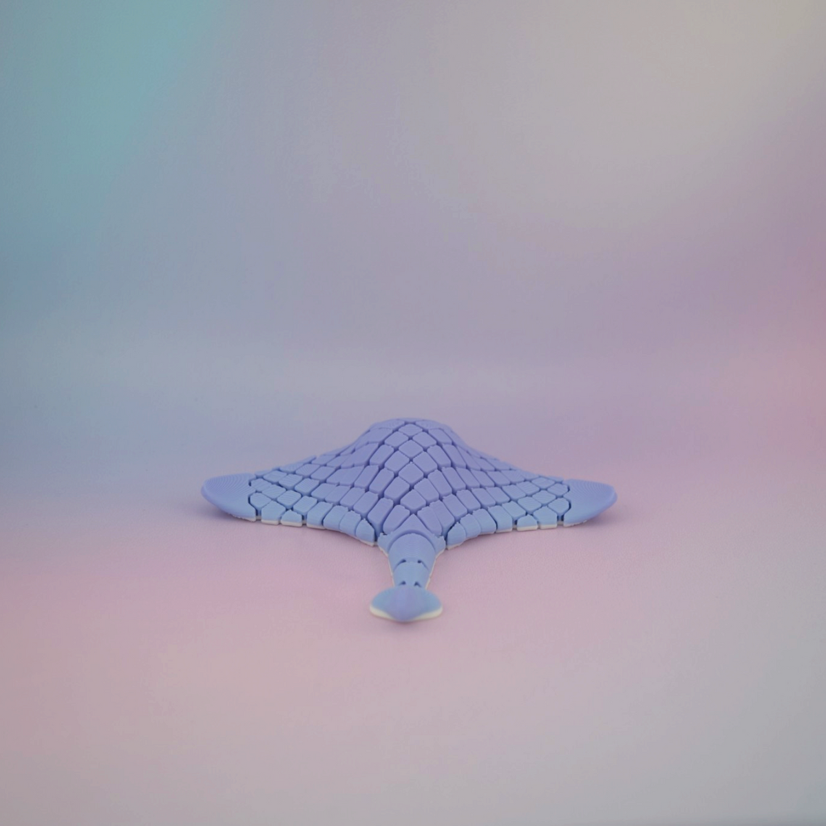 Manta Ray - Fidget Toy