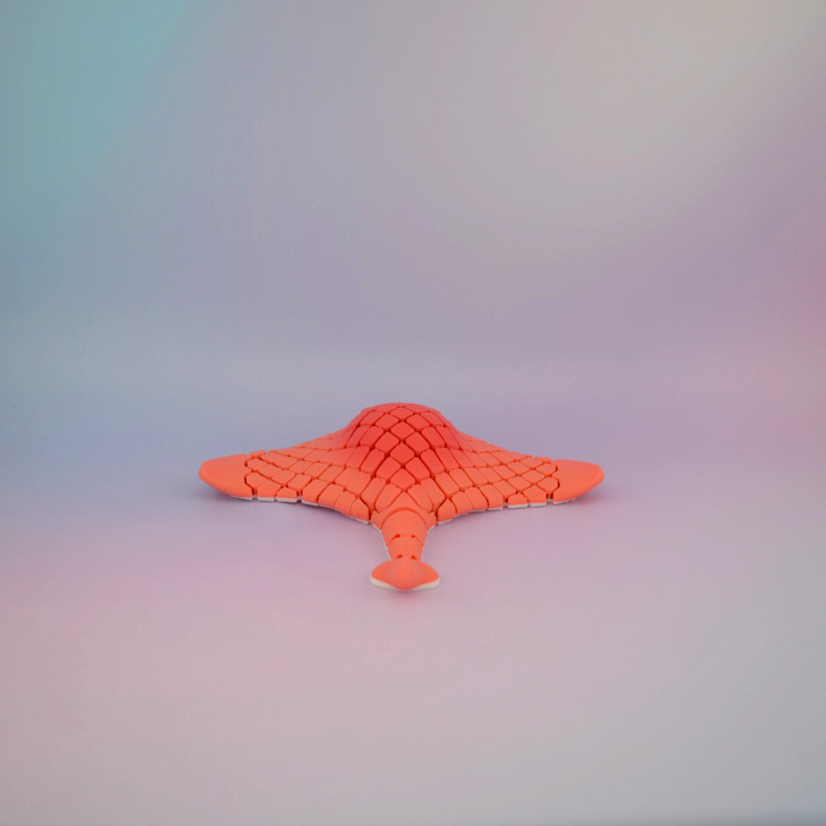 Manta Ray - Fidget Toy