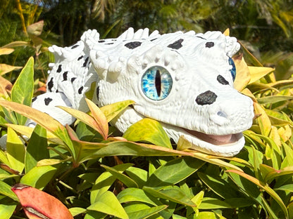 Dalmatian Gecko
