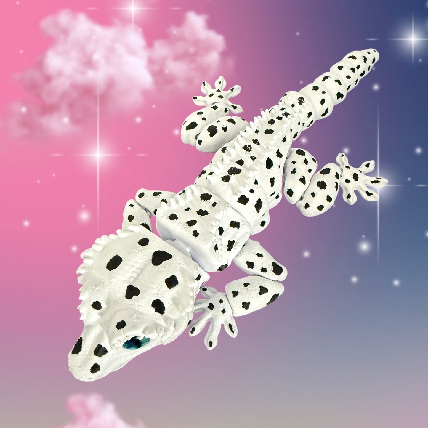 Dalmatian Gecko