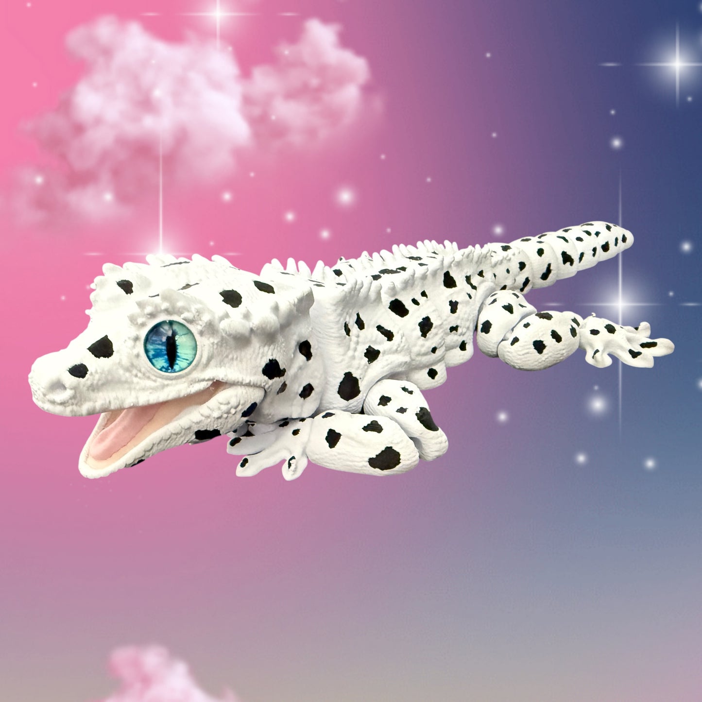 Dalmatian Gecko