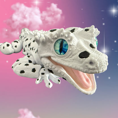 Dalmatian Gecko