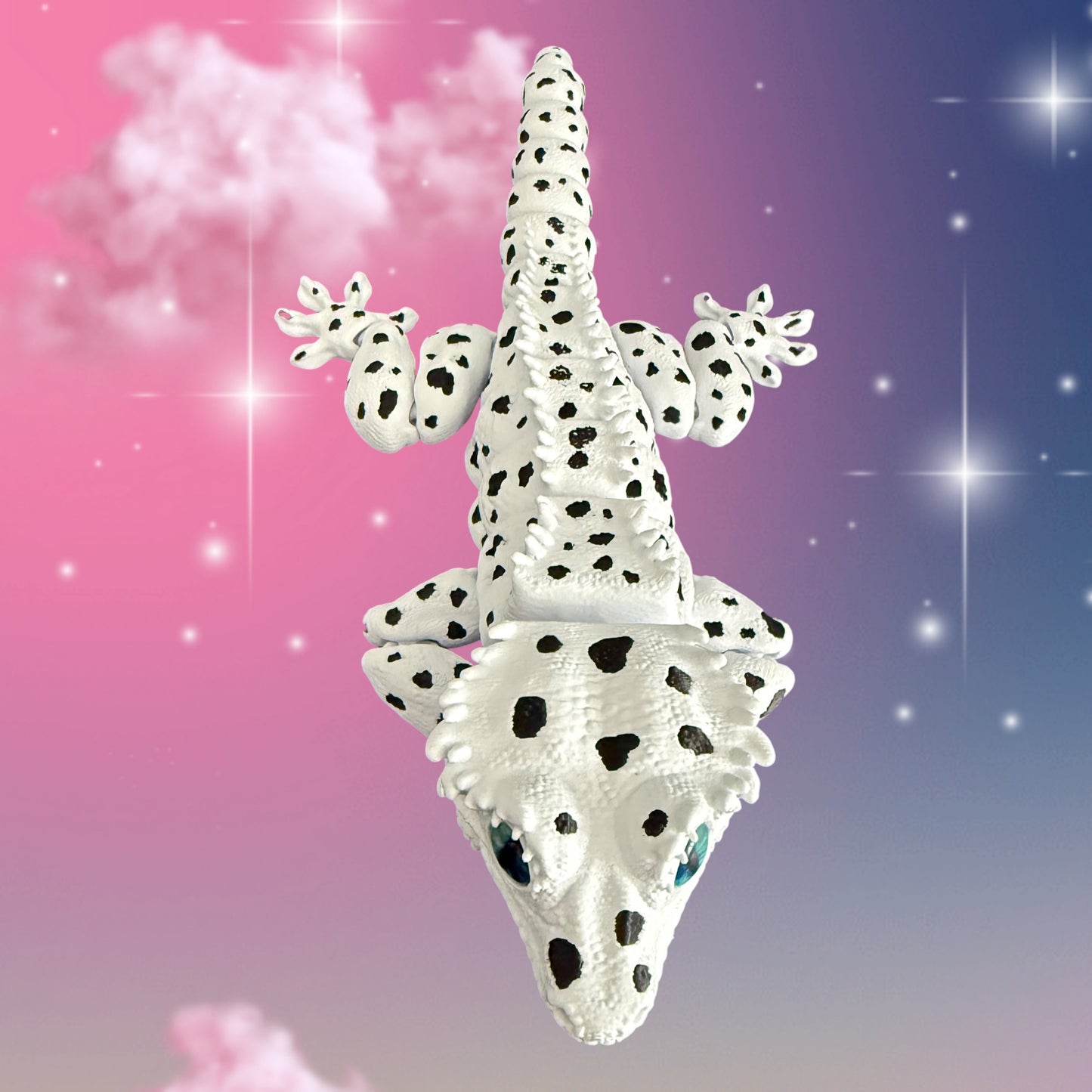 Dalmatian Gecko