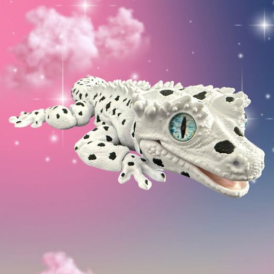 Dalmatian Gecko