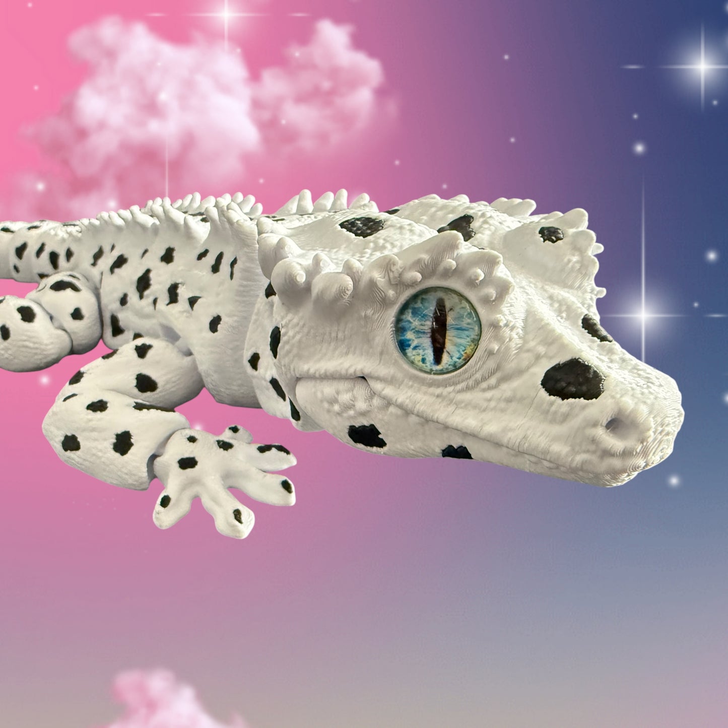 Dalmatian Gecko